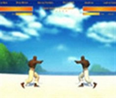 Play Play Capoeira Fighter 1